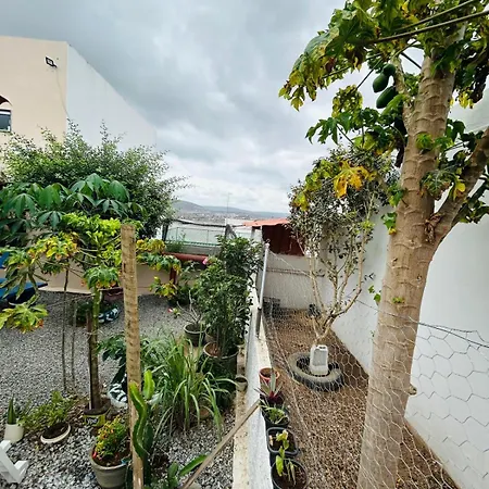 Flat Rainha da Serra-2